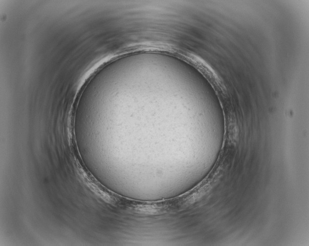 X0000085011182200703191108
