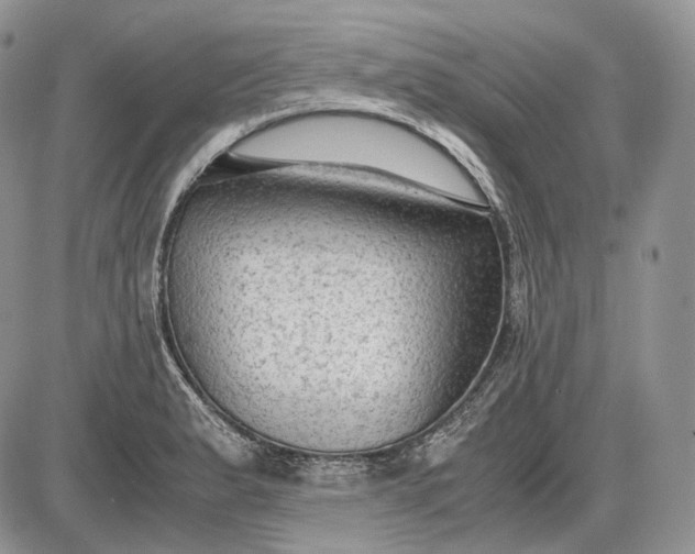 X0000085011183200703191108