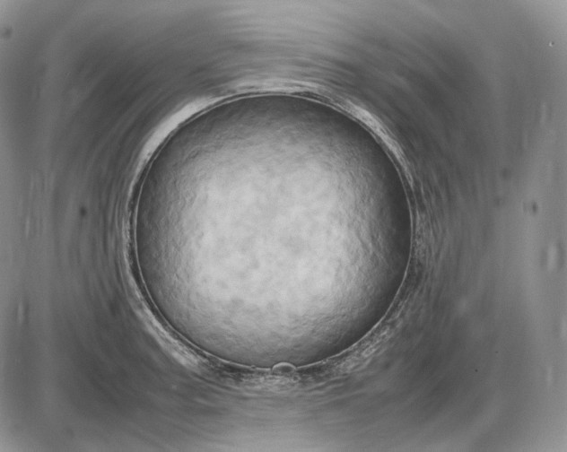 X0000085011187200703191107