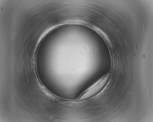 X0000085011192200703191107