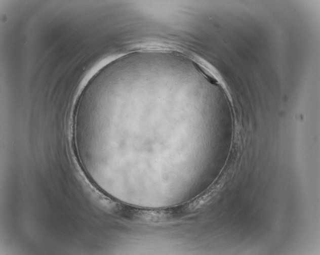 X0000085011195200703191107