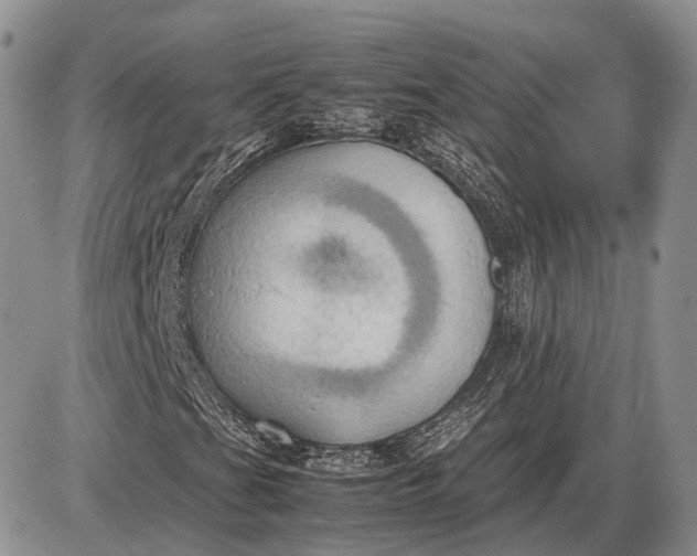 X0000085011201200703191106