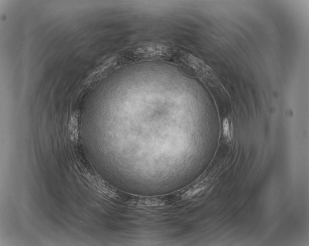 X0000085011203200703191107