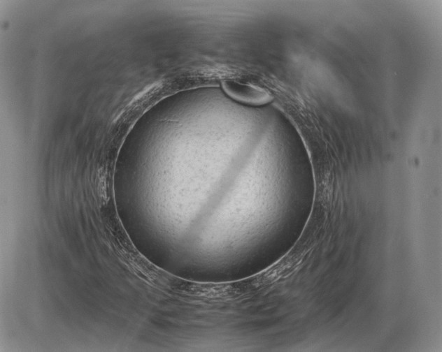 X0000085011205200703191107
