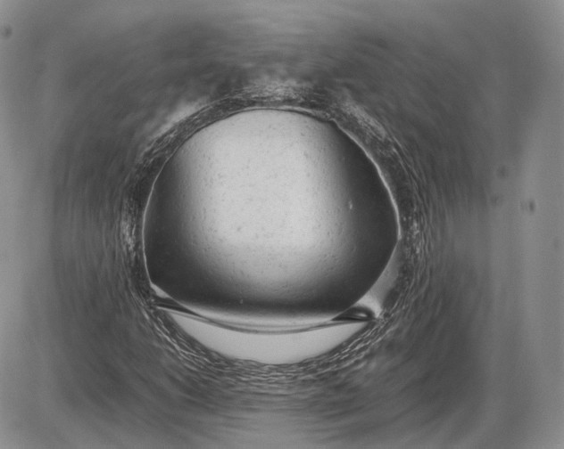 X0000085011206200703191107
