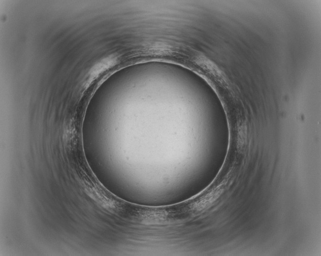 X0000085011210200703191107
