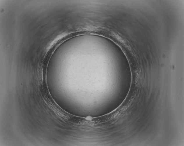 X0000085011214200703191107