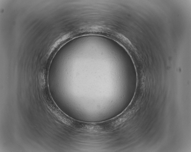 X0000085011218200703191107