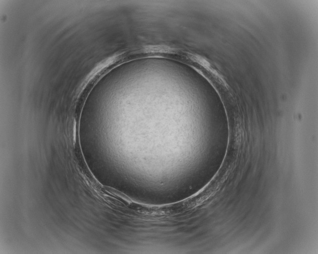 X0000085011221200703191107