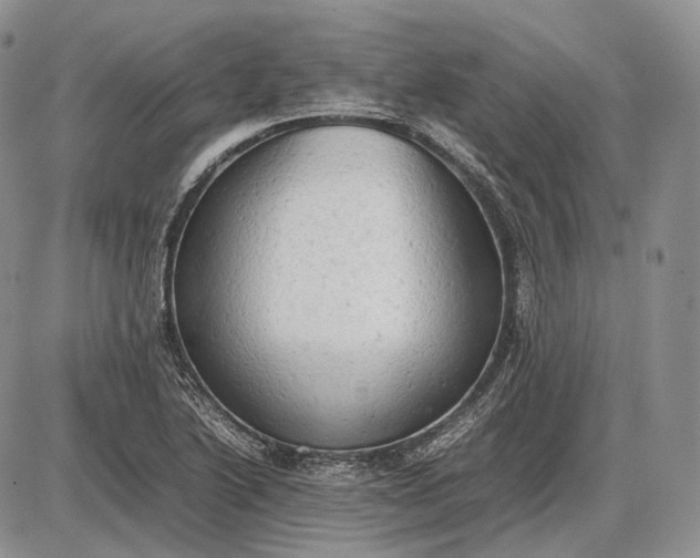 X0000085011222200703191107