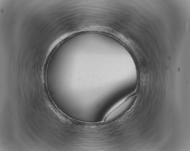 X0000085011230200703191107