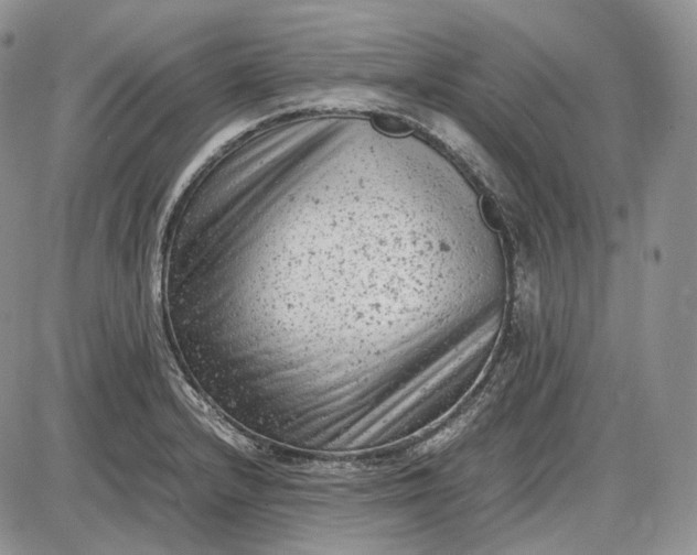 X0000085011232200703191107