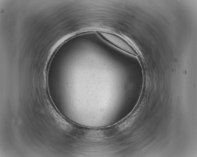 X0000085011238200703191107