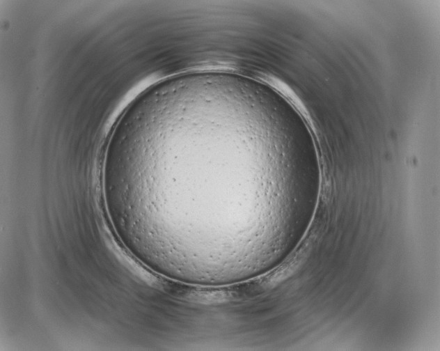 X0000085011243200703191107