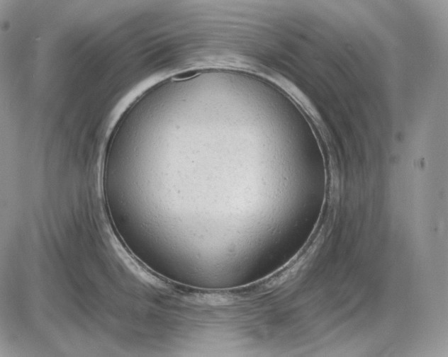 X0000085011246200703191107
