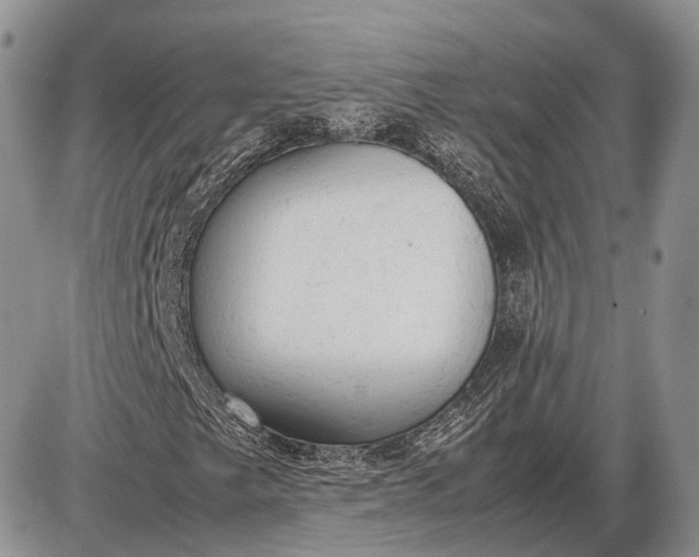 X0000085011249200703191106