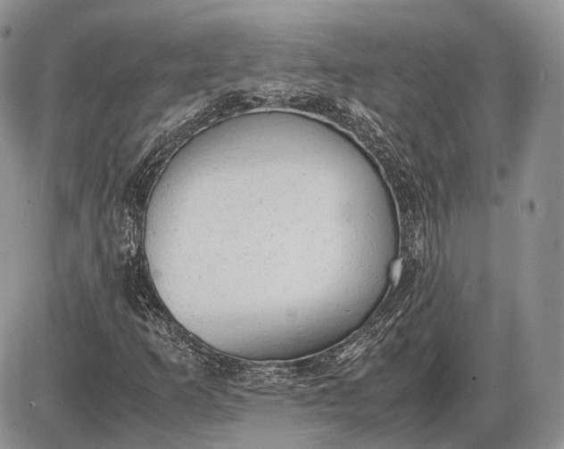 X0000085011253200703191106