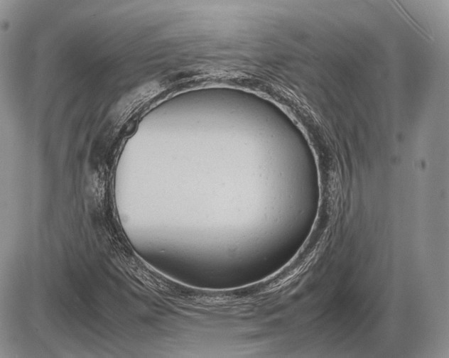 X0000085011257200703191106