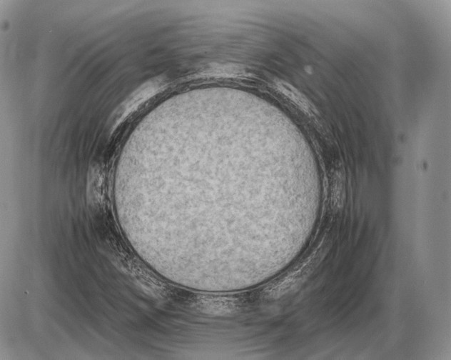 X0000085011258200703191106