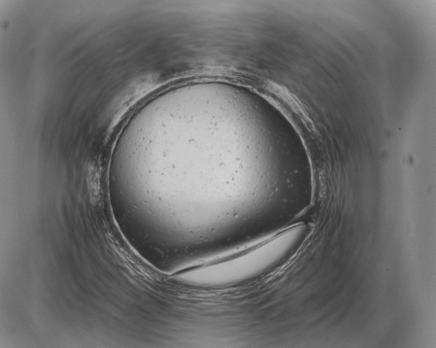 X0000085011260200703191106