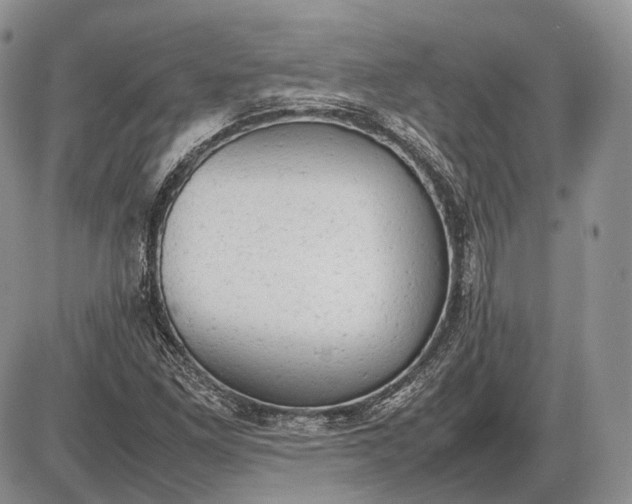 X0000085011261200703191106