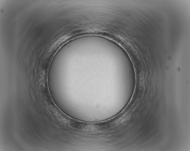 X0000085011265200703191106