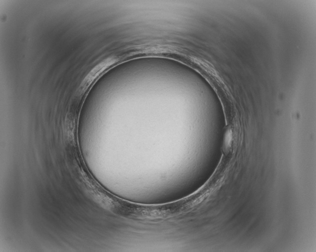 X0000085011273200703191106