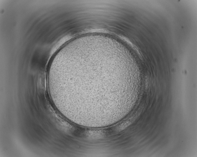 X0000085011274200703191106