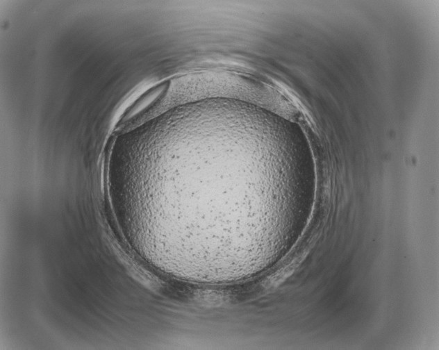 X0000085011275200703191106
