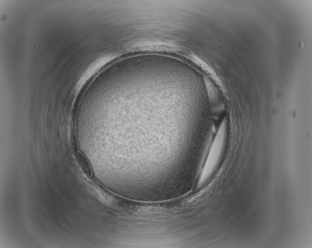 X0000085011277200703191106