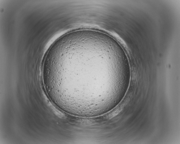 X0000085011287200703191106