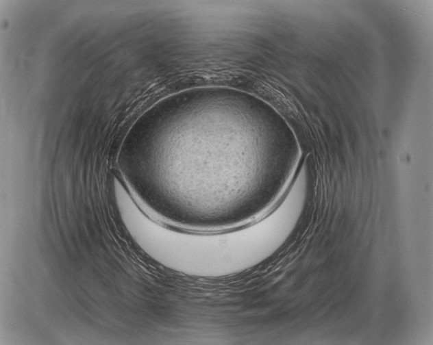 X0000085011298200703191105