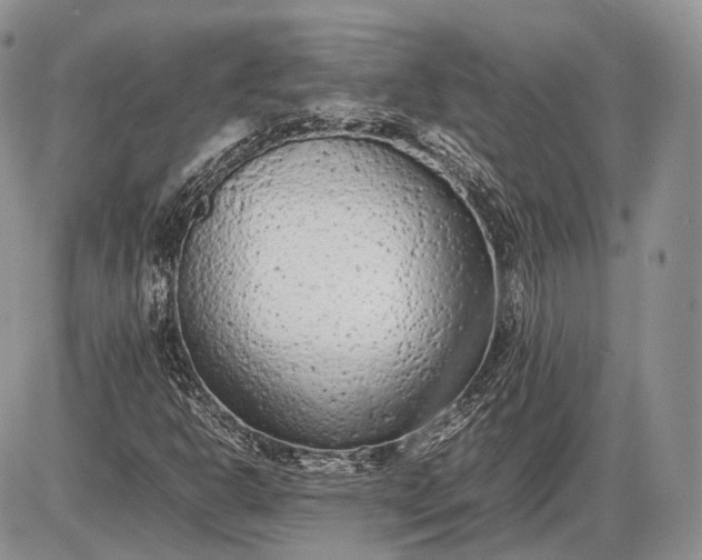 X0000085011302200703191105