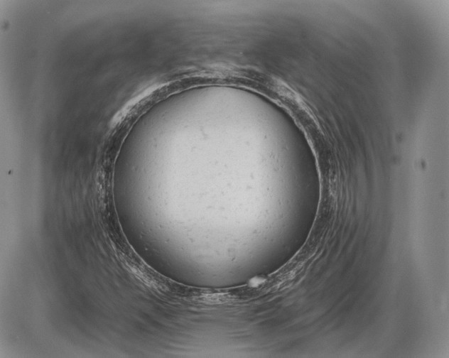 X0000085011304200703191105