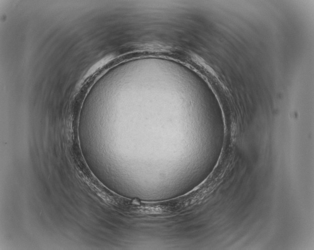 X0000085011315200703191105