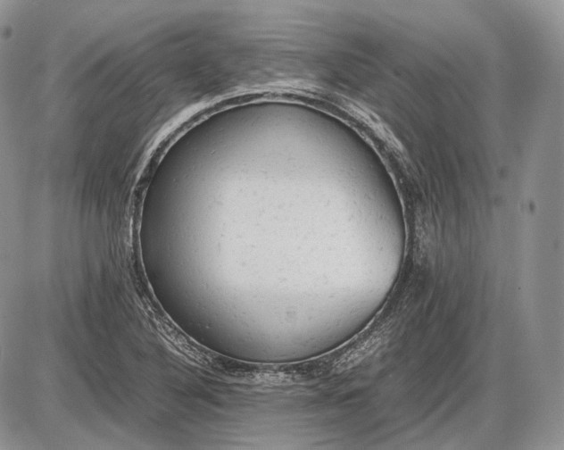 X0000085011316200703191105