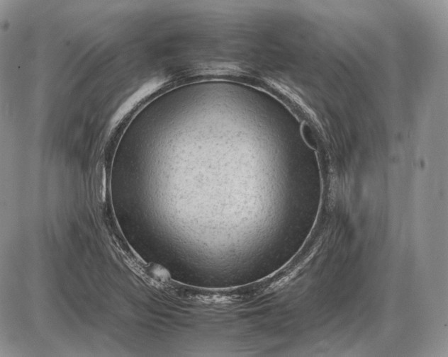 X0000085011317200703191105