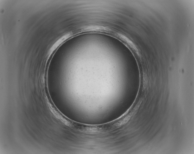 X0000085011330200703191105