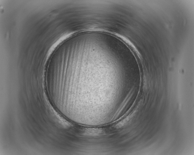 X0000085011333200703191105