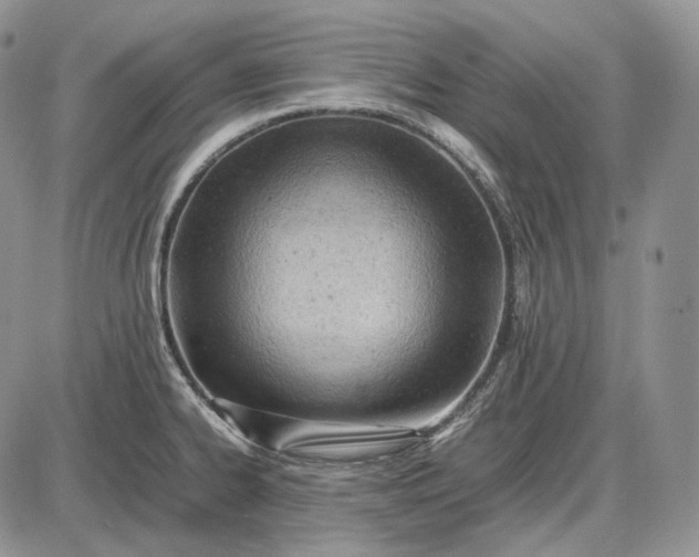 X0000085011334200703191106