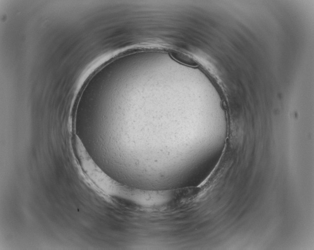 X0000085011335200703191106