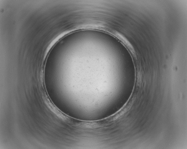 X0000085011340200703191106