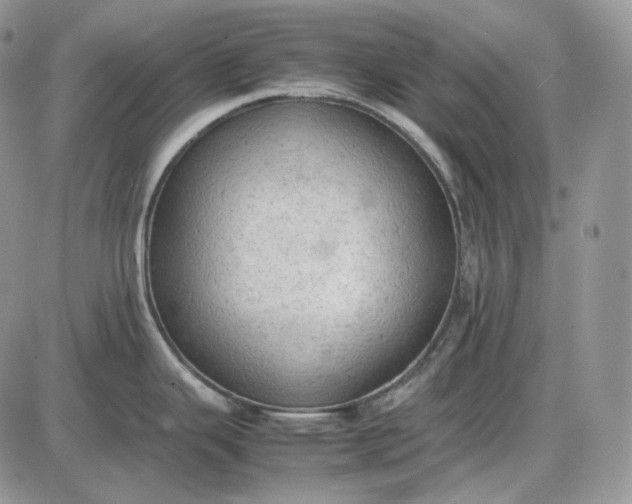 X0000085011343200703191106