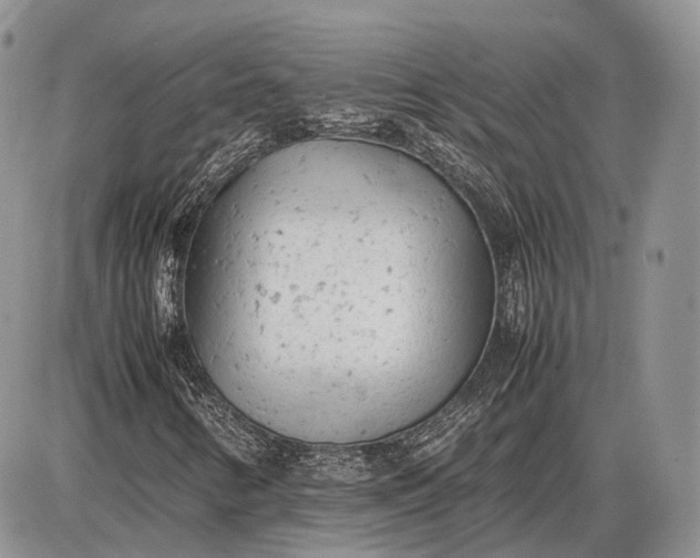 X0000085011346200703191105