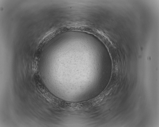 X0000085011350200703191105