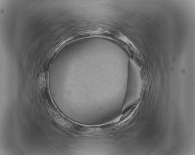 X0000085011353200703191105