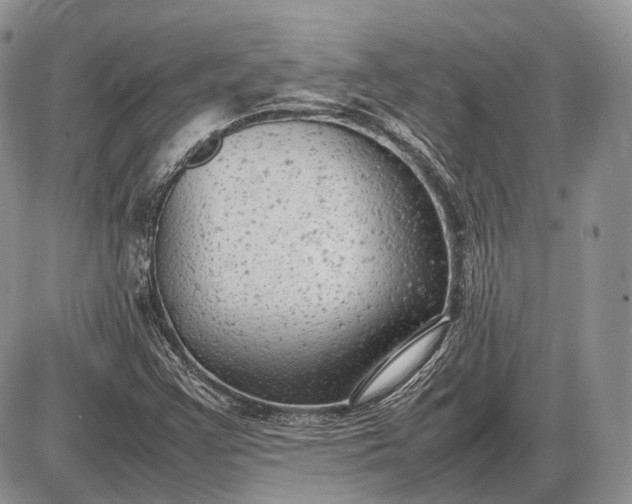 X0000085011355200703191105