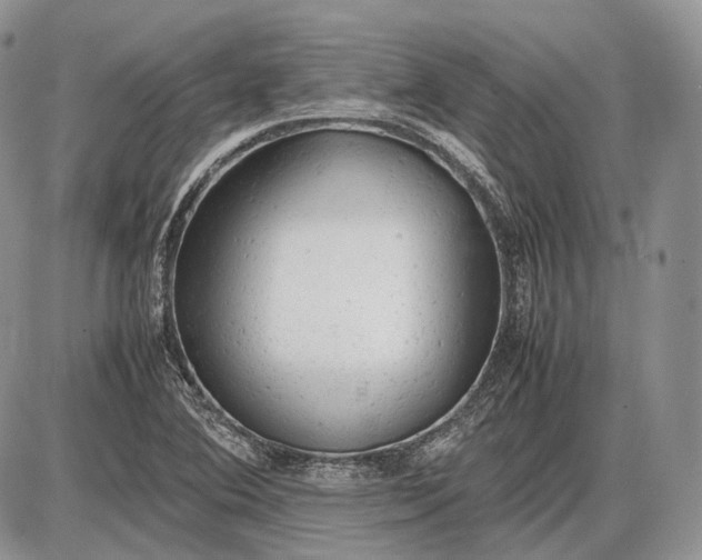 X0000085011364200703191105