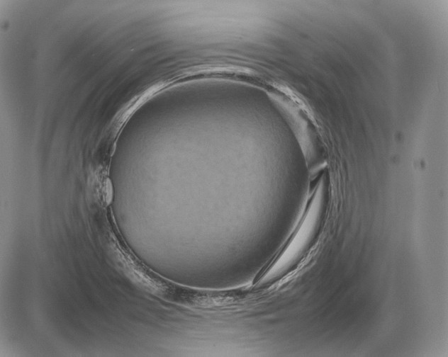 X0000085011369200703191104
