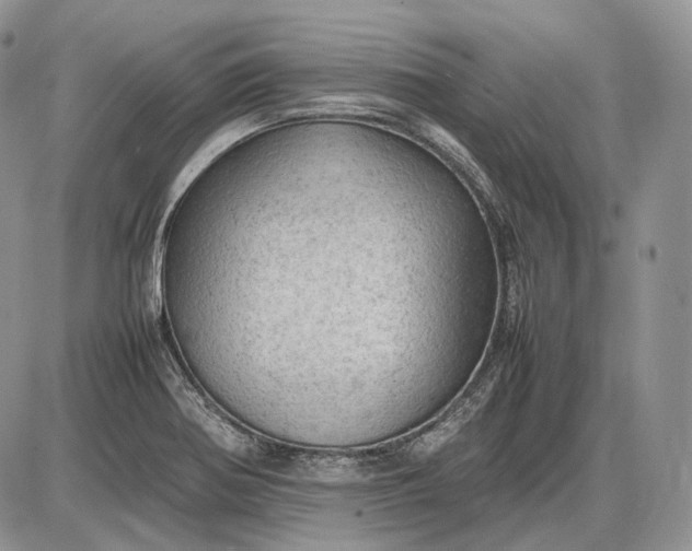 X0000085011370200703191104